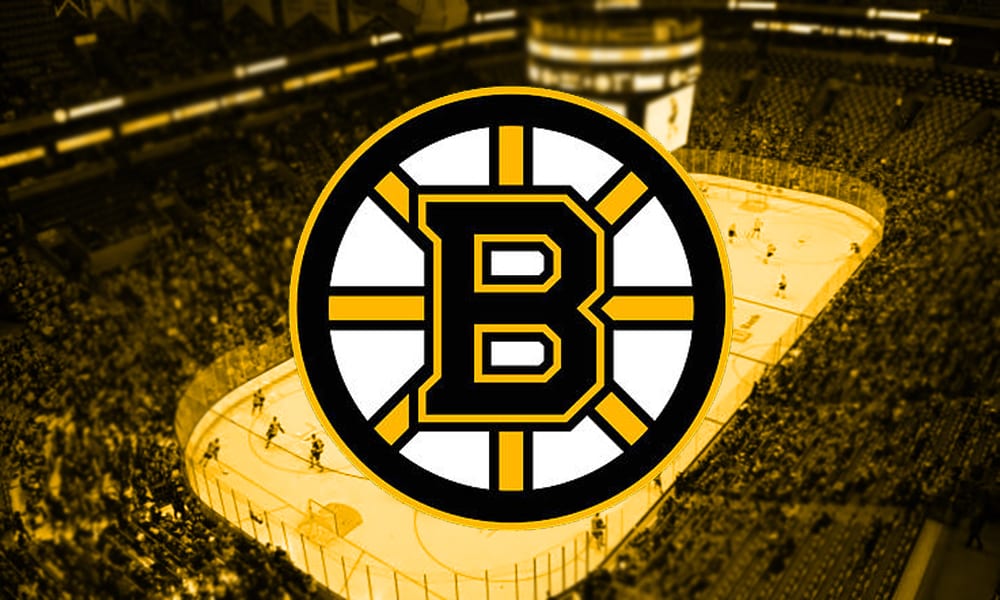 boston bruins