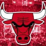 chicago bulls